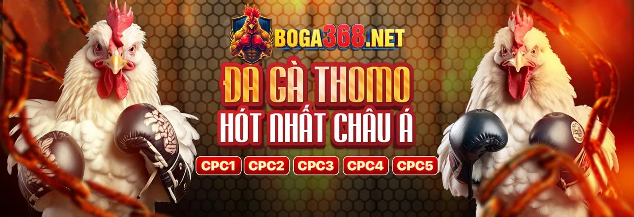 Các sản phẩm cá cược và giải trí đa dạng tại PK14